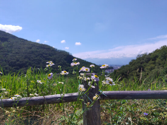 260619_093206.jpg