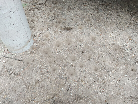 260620_080718.jpg