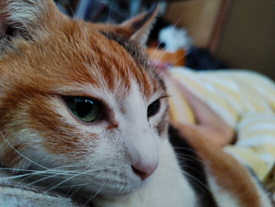 250419_061628.jpg