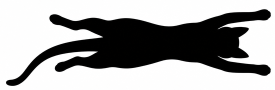 kataneko3.png
